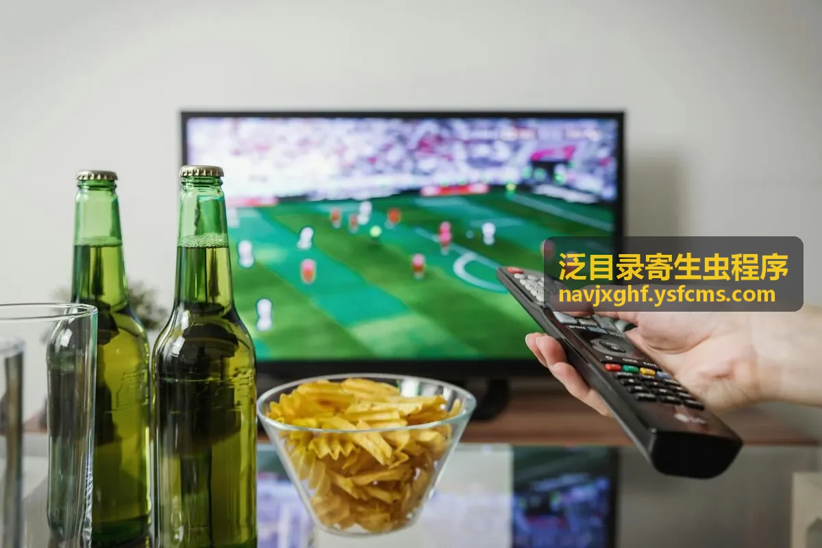空中营救异常目录检查示意